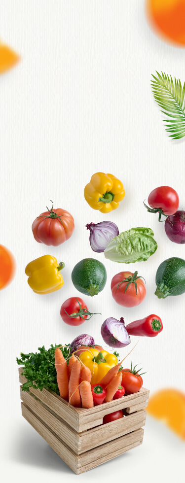 Organic FRESH VEGETABLES